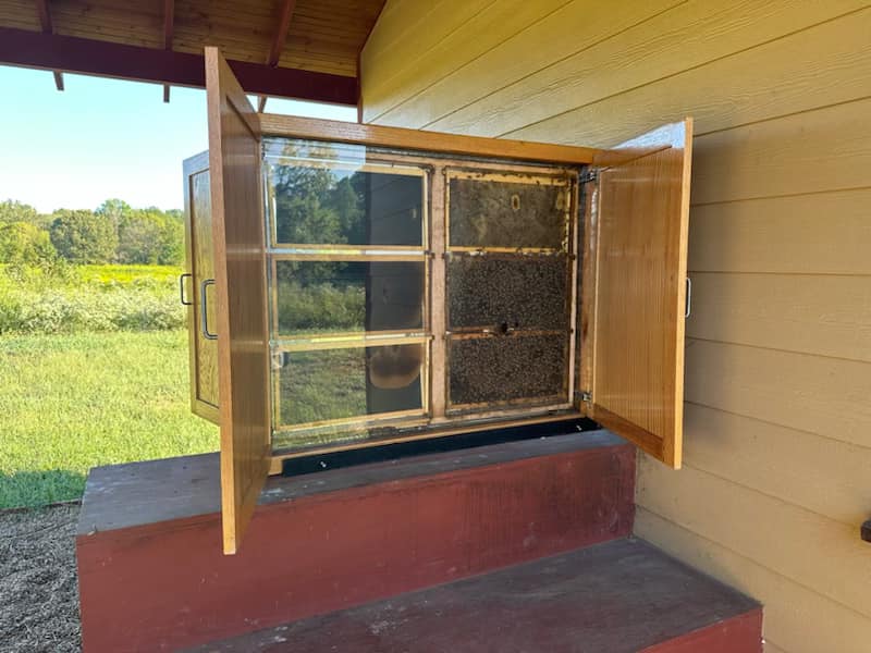 Installation of Observation Hive at Camp Tyler